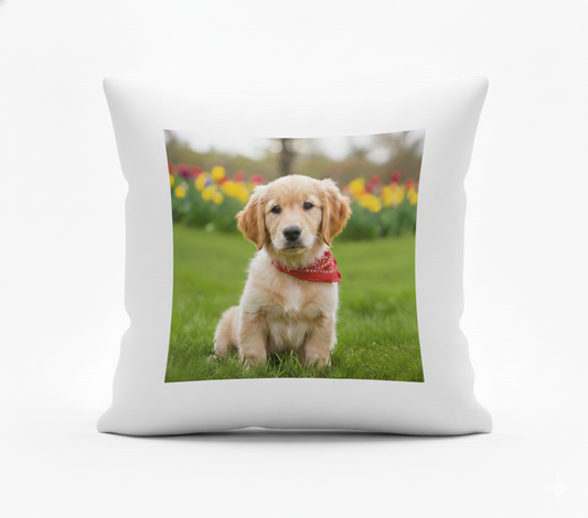 Cojin Personalizado con Foto