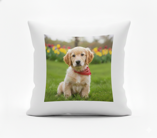 Cojin Personalizado con Foto